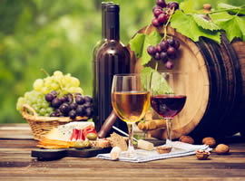 Database of Wines and wineries in Spain